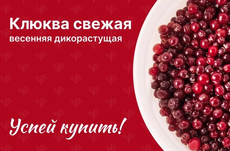 Свежая весенняя клюква. Успей купить!