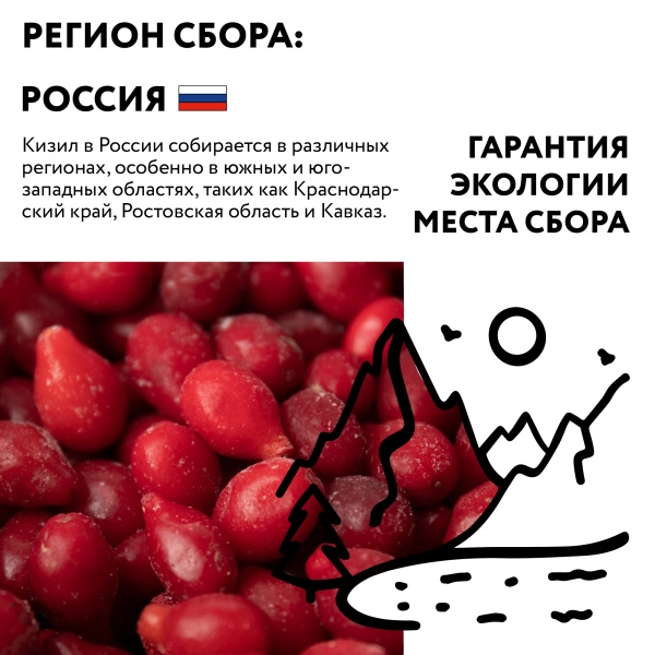 Кизил свежезамороженный 1 кг, П/П пакет