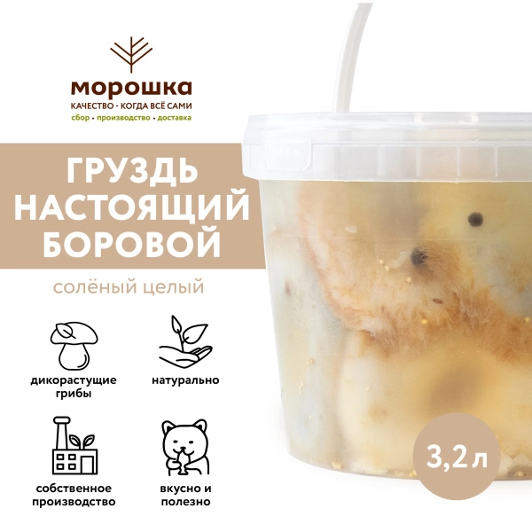 Груздь НАСТОЯЩИЙ БОРОВОЙ соленый целый г/п (Вед/пл 3,2 л.)