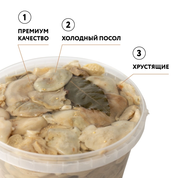 Груздь белый осиновый соленый резаный х/п (Вед/пл 3,2 л.)