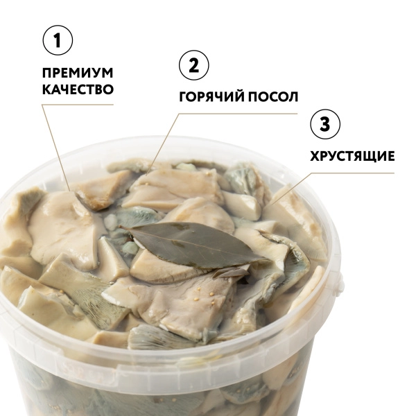 Груздь белый БОРОВОЙ соленый резаный г/п (Вед/пл 3,2 л.)