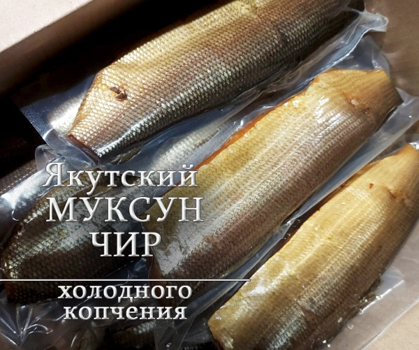 Муксун спинка х/к, кг