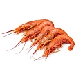 Морепродукты