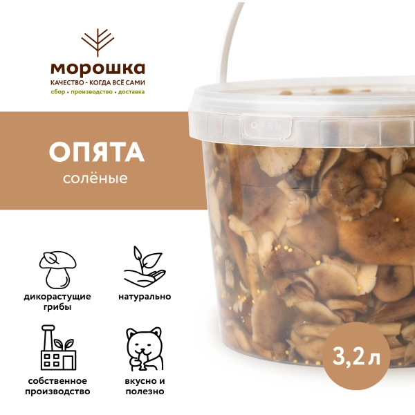 Опята соленые г/п (Вед/пл 3,2 л)