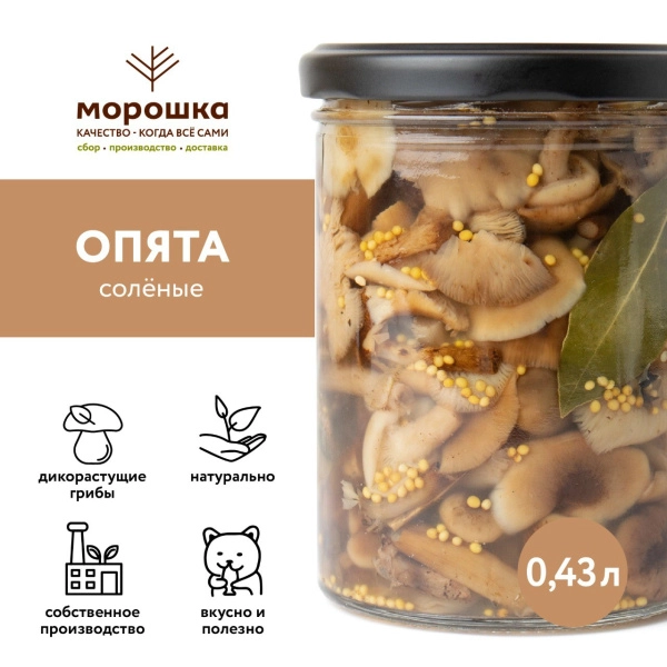Опята соленые г/п (ст/б 0,43 л.)