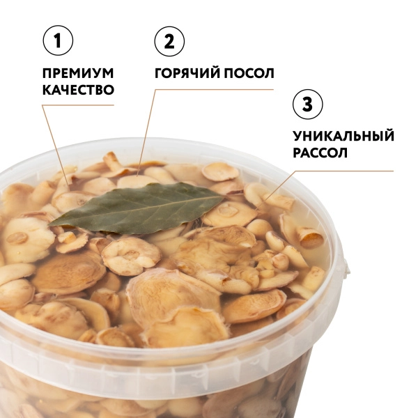 Масленок соленый г/п (Вед/пл 3,2 л)